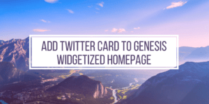 Add Twitter Card to Genesis Widgetized Homepage