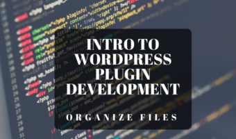 WordPress Plugin Development File Organization